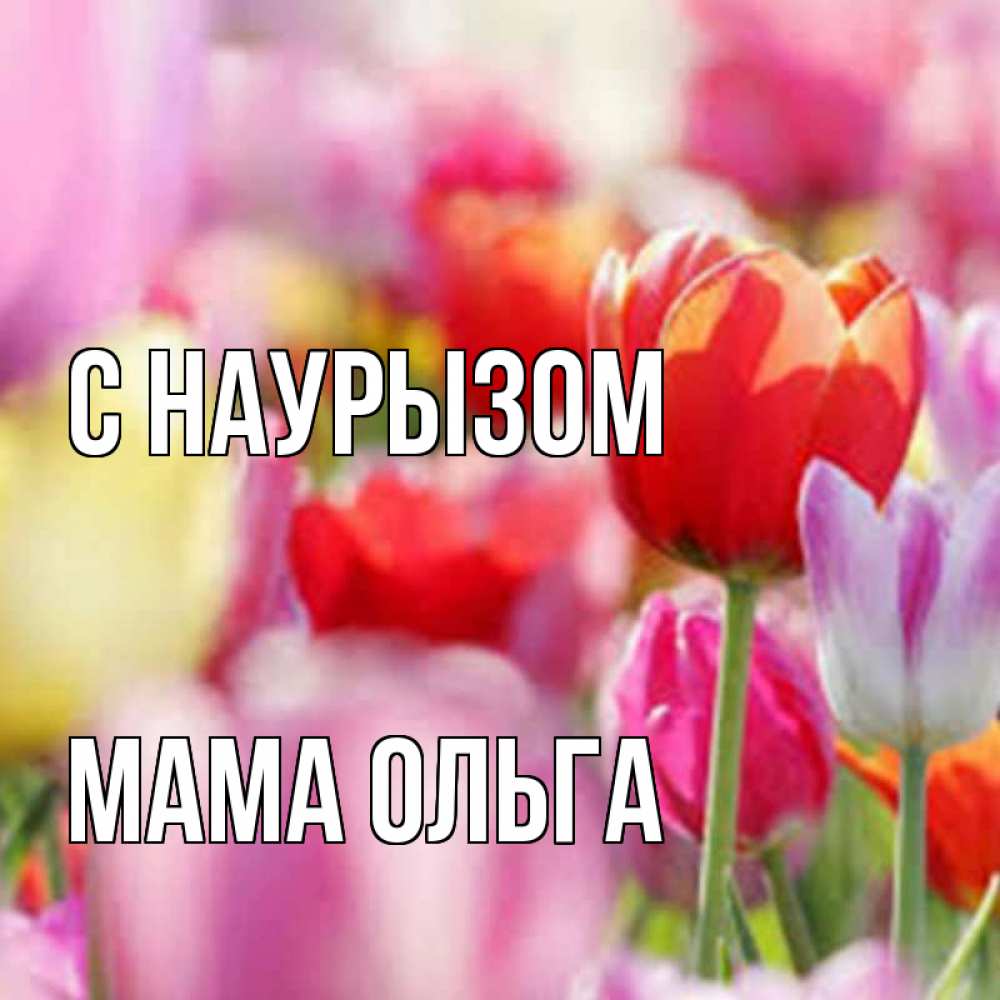 Открытка на каждый день с именем, Мама-Ольга С наурызом праздник весны наурыз 67 Прикольная открытка с пожеланием онлайн скачать бесплатно 