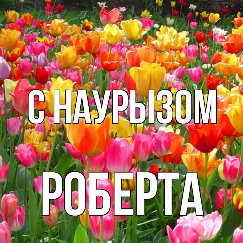 Открытка на каждый день с именем, Роберта С наурызом праздник весны наурыз 4 Прикольная открытка с пожеланием онлайн скачать бесплатно 