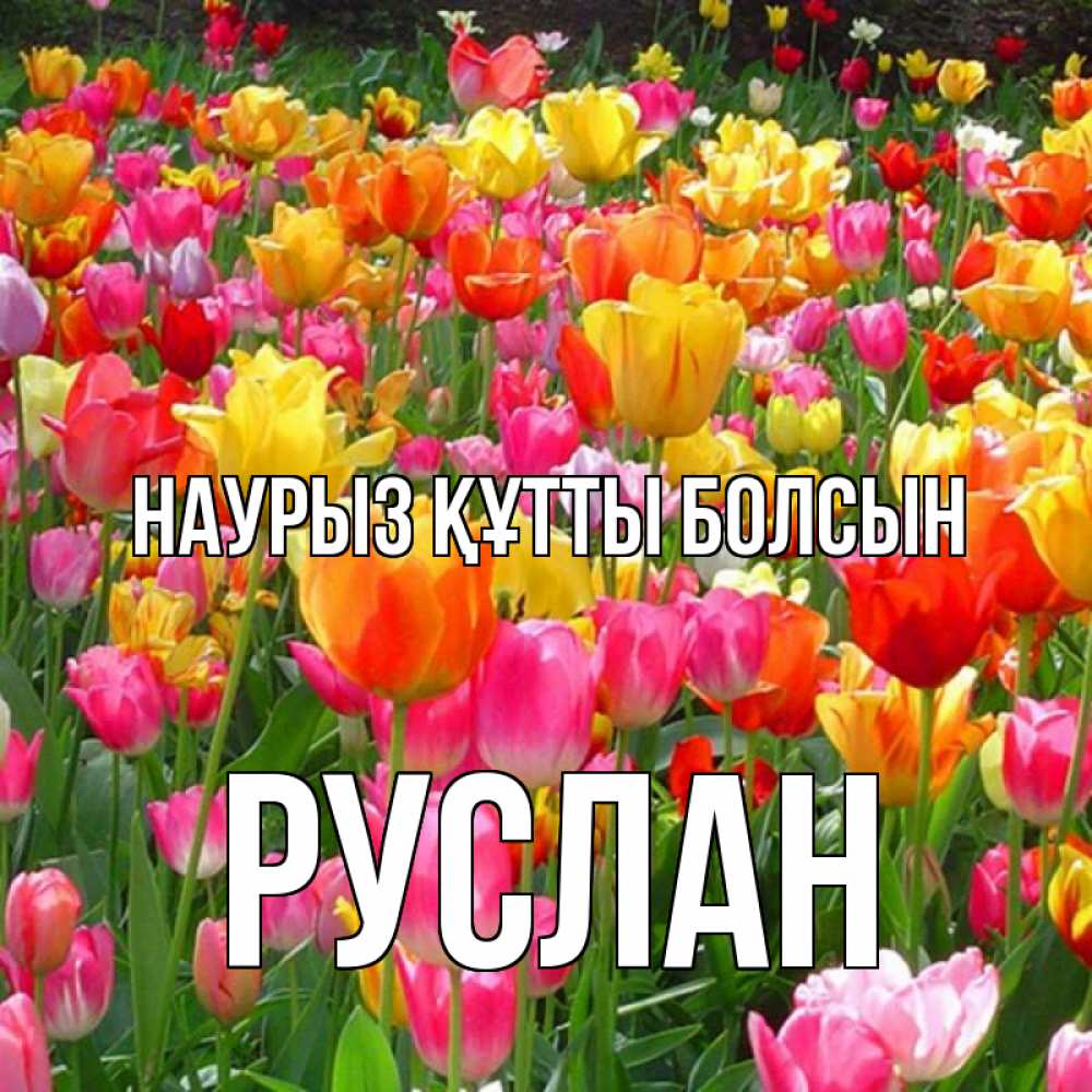 Открытка на каждый день с именем, Руслан Наурыз құтты болсын на наурыз  ура ура Прикольная открытка с пожеланием онлайн скачать бесплатно 