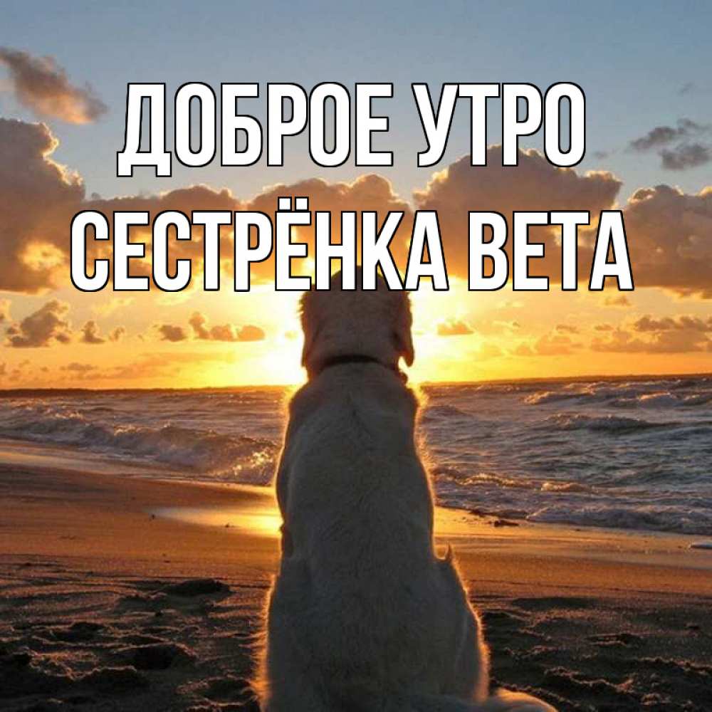 Открытка на каждый день с именем, Сестрёнка-Вета Доброе утро восход солнца Прикольная открытка с пожеланием онлайн скачать бесплатно 