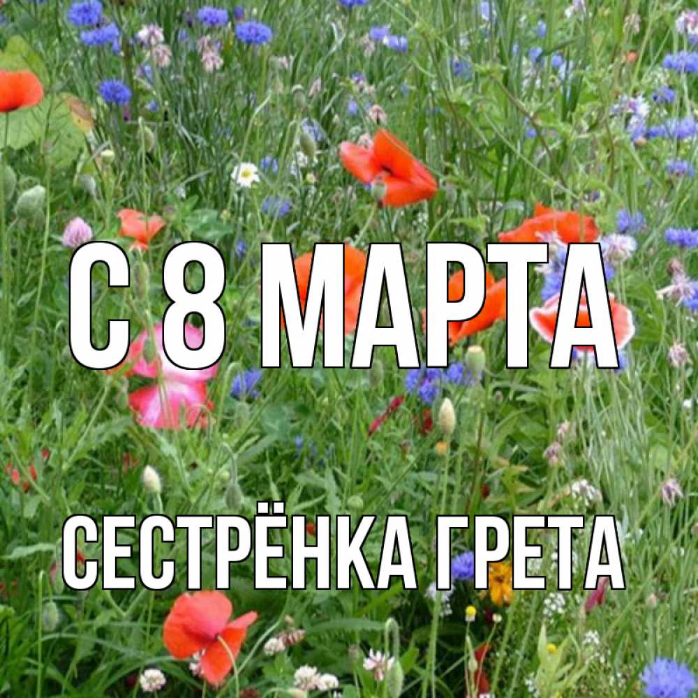 Открытка на каждый день с именем, Сестрёнка-Грета С 8 МАРТА международный женский день 4 Прикольная открытка с пожеланием онлайн скачать бесплатно 