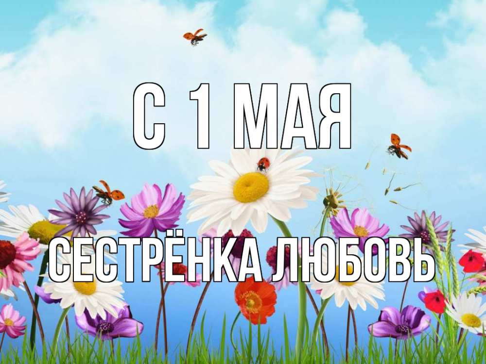 Открытка на каждый день с именем, Сестрёнка-Любовь С 1 мая С 1 мая Прикольная открытка с пожеланием онлайн скачать бесплатно 