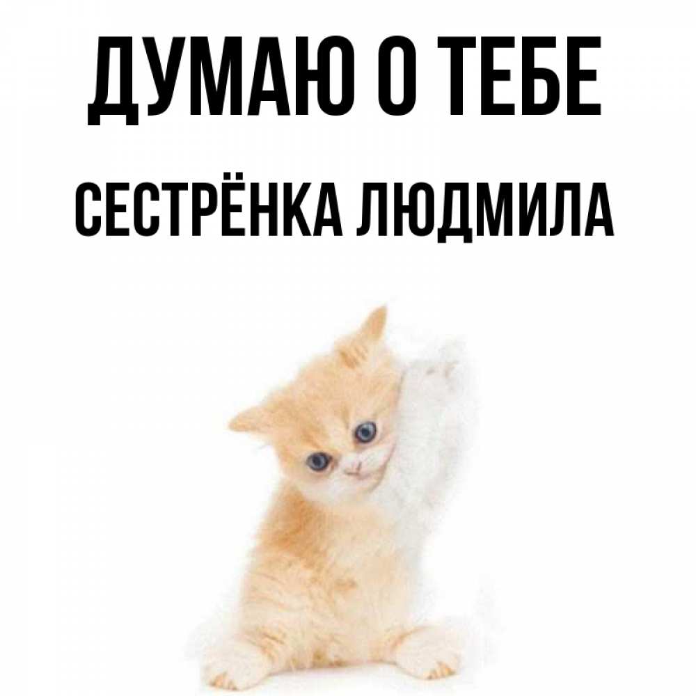 Открытка на каждый день с именем, Сестрёнка-Людмила Думаю о тебе зверушки и милота Прикольная открытка с пожеланием онлайн скачать бесплатно 