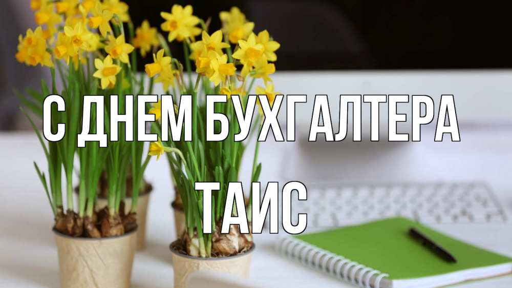 Открытка на каждый день с именем, Таис С днем бухгалтера с днем бухгалтера Прикольная открытка с пожеланием онлайн скачать бесплатно 