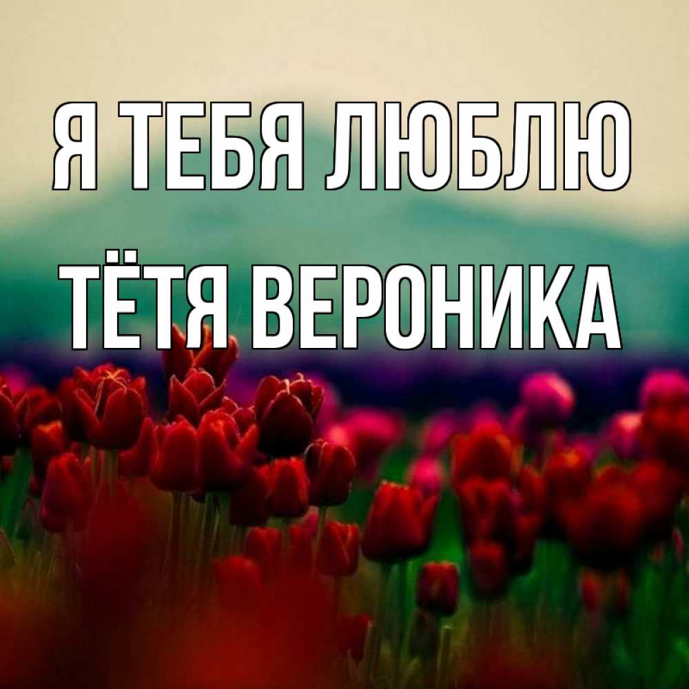 Открытка на каждый день с именем, Тётя-Вероника Я тебя люблю тюльпаны 4 Прикольная открытка с пожеланием онлайн скачать бесплатно 