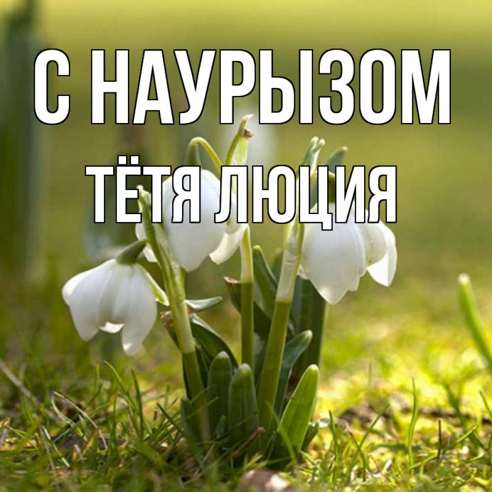 Открытка на каждый день с именем, Тётя-Люция С наурызом ранние цветы 2 Прикольная открытка с пожеланием онлайн скачать бесплатно 
