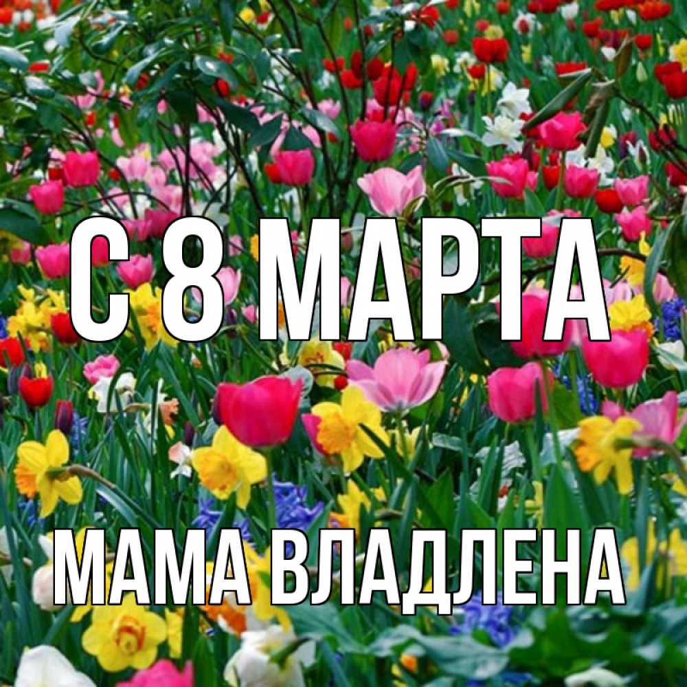 Открытка на каждый день с именем, Мама-Владлена С 8 МАРТА с международным женским днем поздравления для женщины Прикольная открытка с пожеланием онлайн скачать бесплатно 