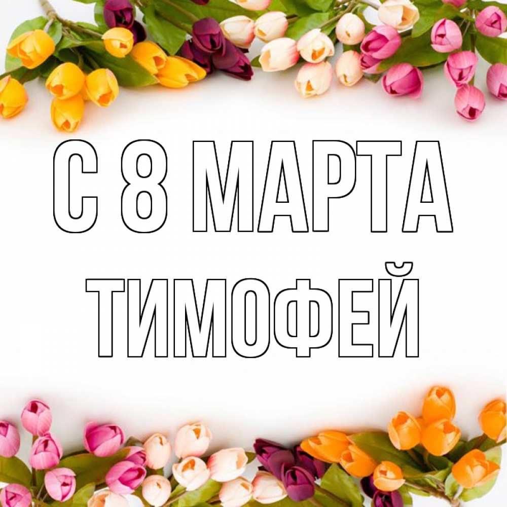 Открытка на каждый день с именем, Тимофей С 8 марта весна март Прикольная открытка с пожеланием онлайн скачать бесплатно 
