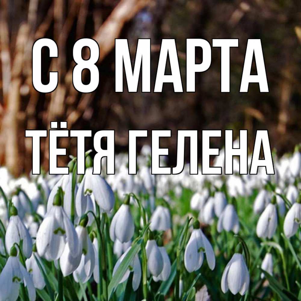 Открытка на каждый день с именем, Тётя-Гелена С 8 МАРТА с подснежниками 1 Прикольная открытка с пожеланием онлайн скачать бесплатно 