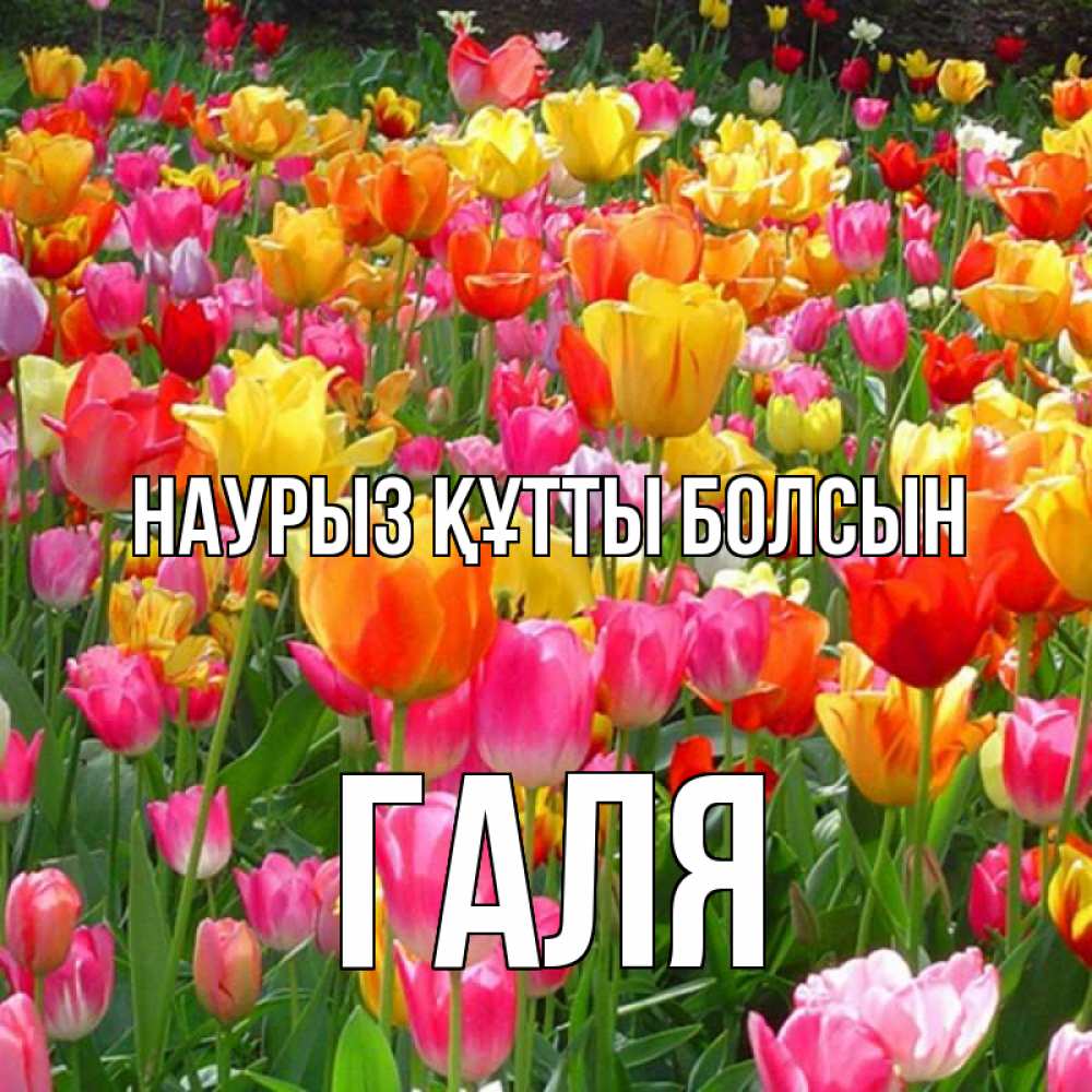 Картинка Наурыз құтты болсын, Галя