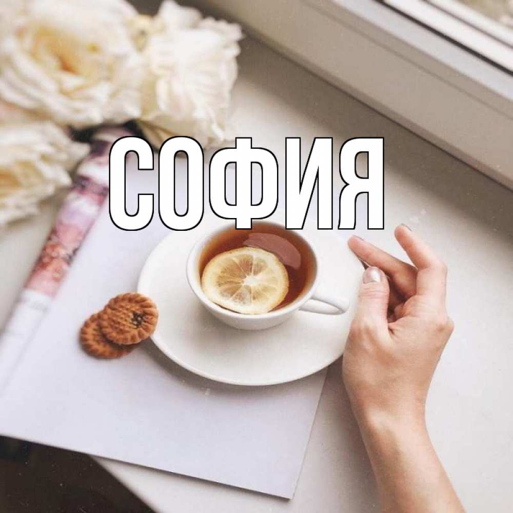 Открытка на каждый день с именем, София Главная и печеньками Прикольная открытка с пожеланием онлайн скачать бесплатно 