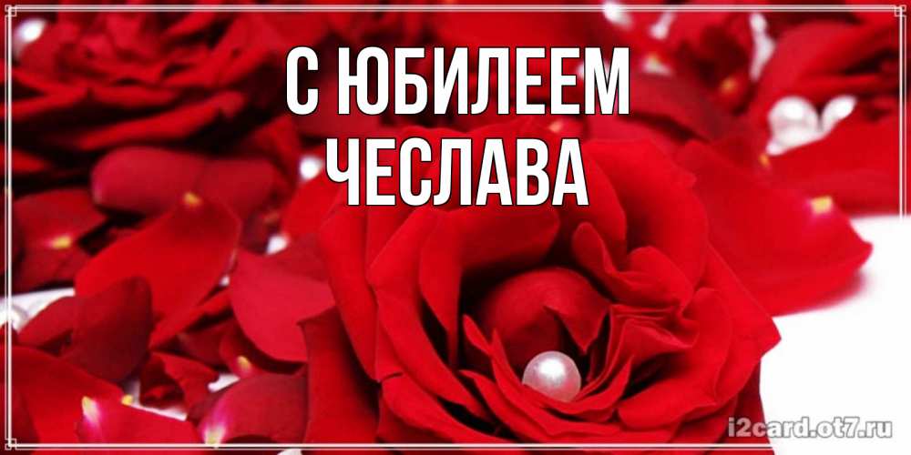 Открытка на каждый день с именем, Чеслава С юбилеем роза с жемчужиной на открытке для любимых Прикольная открытка с пожеланием онлайн скачать бесплатно 