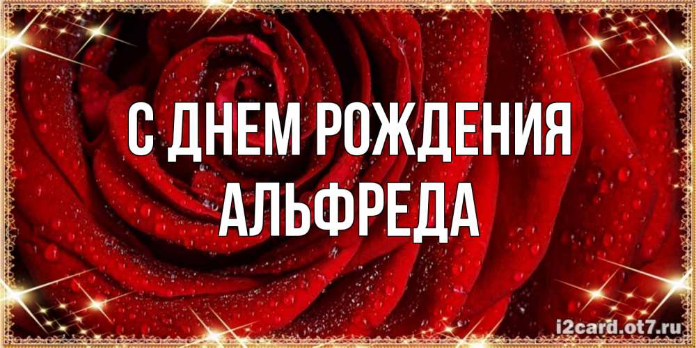 Открытка на каждый день с именем, Альфреда С днем рождения роса на розе блестящая в лучах солнца Прикольная открытка с пожеланием онлайн скачать бесплатно 