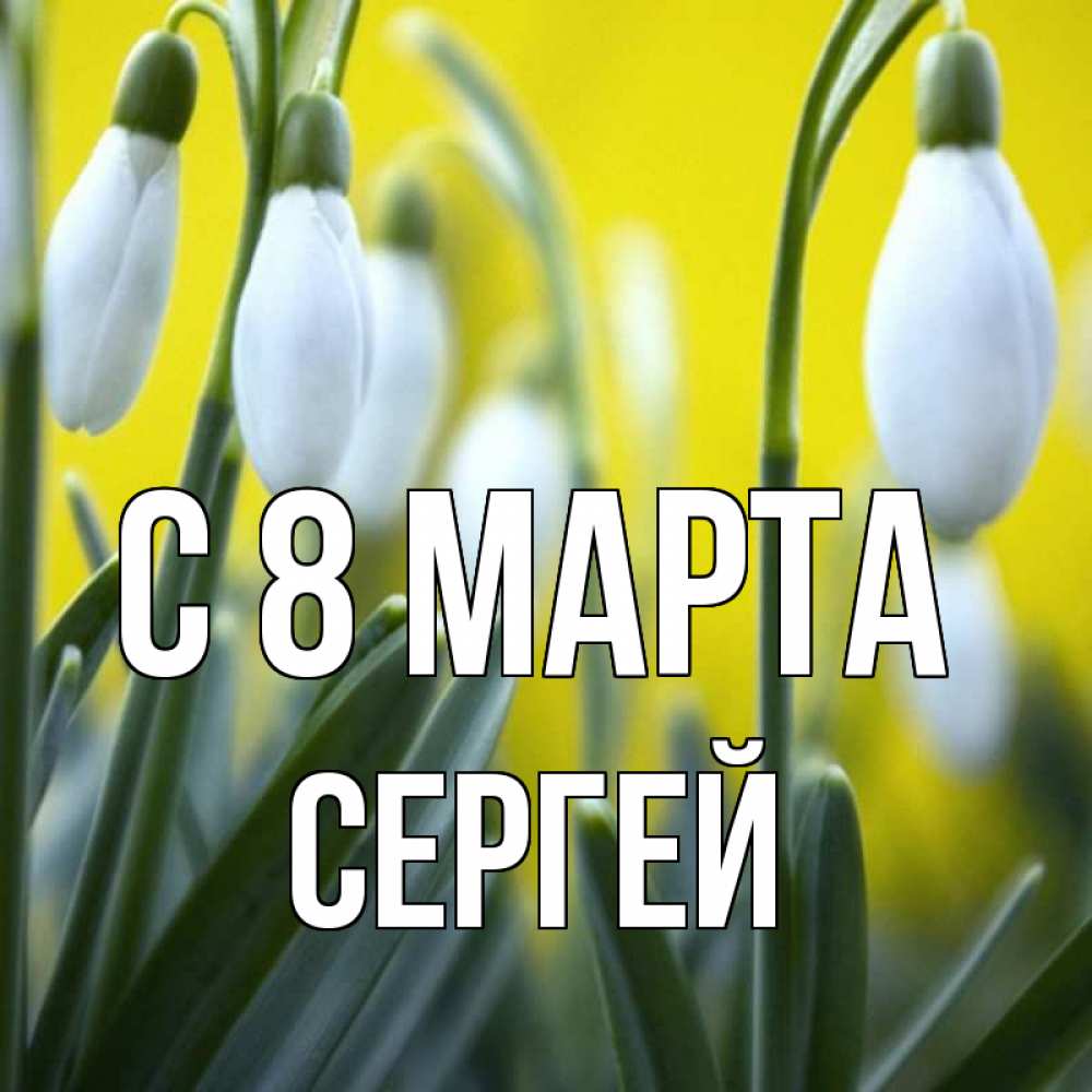 Открытка на каждый день с именем, Сергей С 8 марта весенние цветы Прикольная открытка с пожеланием онлайн скачать бесплатно 