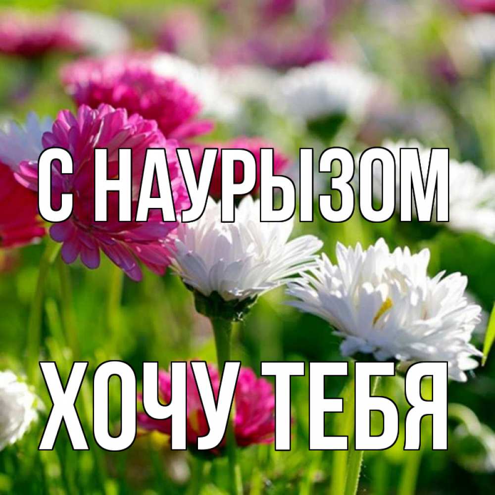 Картинка С наурызом, Хочу тебя