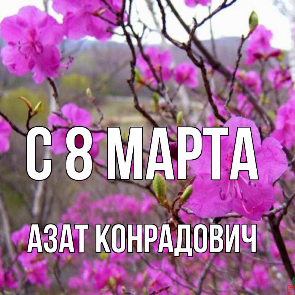 Картинка С 8 МАРТА, Азат Конрадович