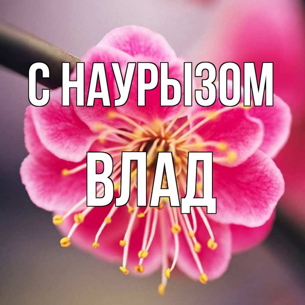 Картинка С наурызом, Влад