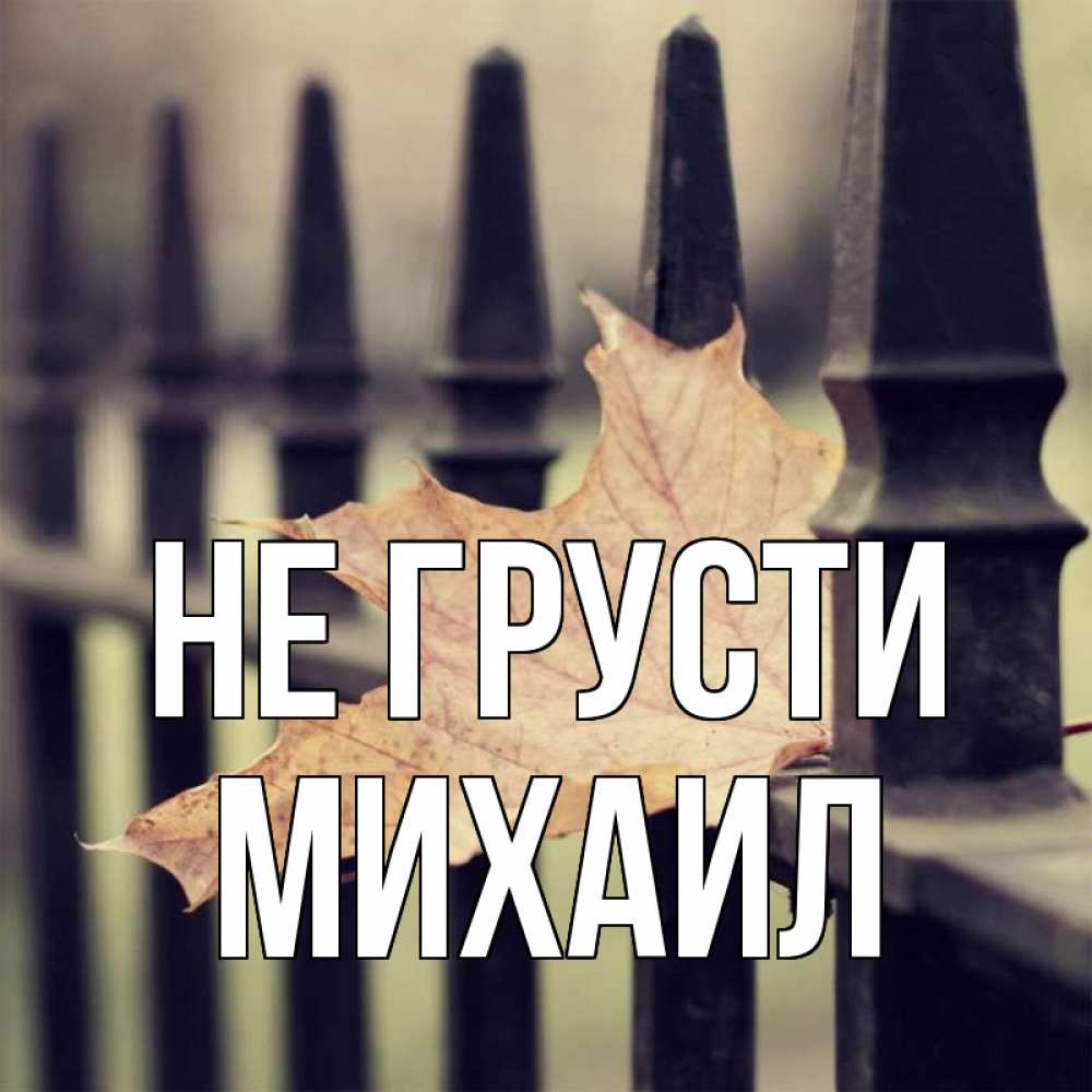 Открытка на каждый день с именем, Михаил Не грусти лист клена Прикольная открытка с пожеланием онлайн скачать бесплатно 