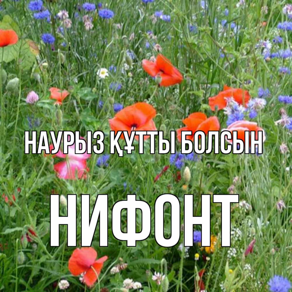Открытка на каждый день с именем, Нифонт Наурыз құтты болсын наурыз  4 Прикольная открытка с пожеланием онлайн скачать бесплатно 