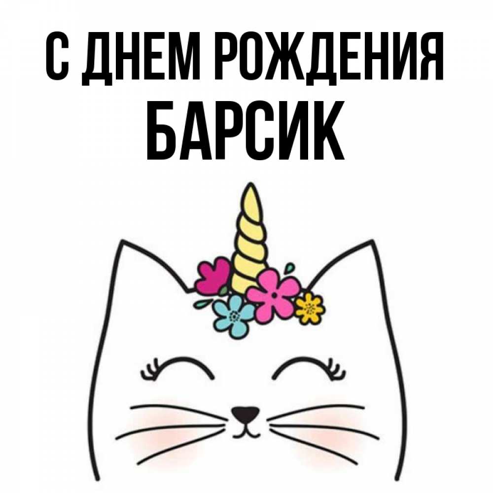 С днем рождения барсик картинки