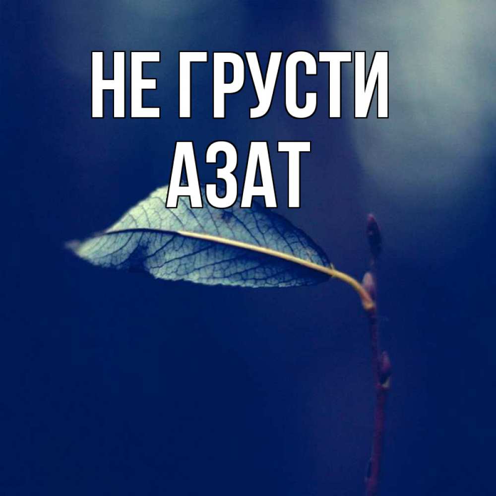 Открытка на каждый день с именем, Азат Не грусти растение Прикольная открытка с пожеланием онлайн скачать бесплатно 