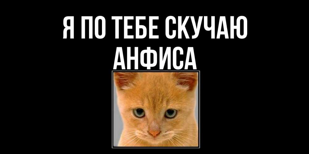 Открытка на каждый день с именем, Анфиса Я по тебе скучаю открытки рыжий котенок скучает по тебе Прикольная открытка с пожеланием онлайн скачать бесплатно 