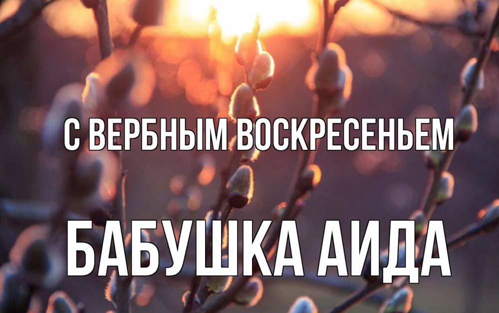 Открытка на каждый день с именем, Бабушка-Аида С вербным воскресеньем верба Прикольная открытка с пожеланием онлайн скачать бесплатно 