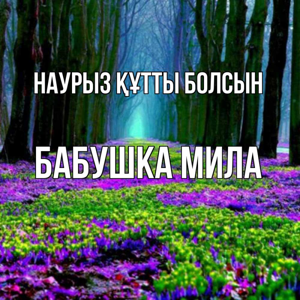 Открытка на каждый день с именем, Бабушка-Мила Наурыз құтты болсын фиолетовые цветы в лесу 1 Прикольная открытка с пожеланием онлайн скачать бесплатно 