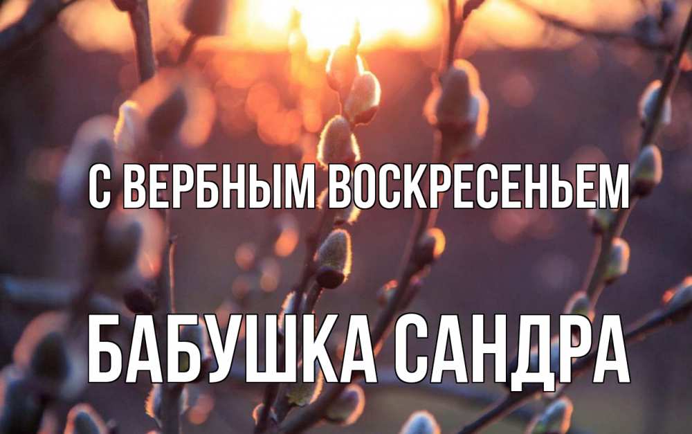 Открытка на каждый день с именем, Бабушка-Сандра С вербным воскресеньем верба Прикольная открытка с пожеланием онлайн скачать бесплатно 