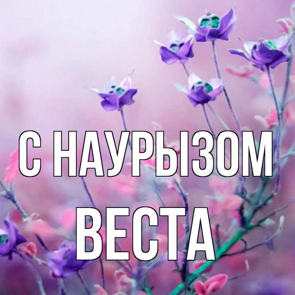 Открытка на каждый день с именем, Веста С наурызом международный женский день 2 Прикольная открытка с пожеланием онлайн скачать бесплатно 