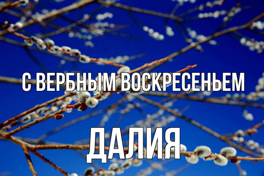Открытка на каждый день с именем, Далия С вербным воскресеньем верба Прикольная открытка с пожеланием онлайн скачать бесплатно 
