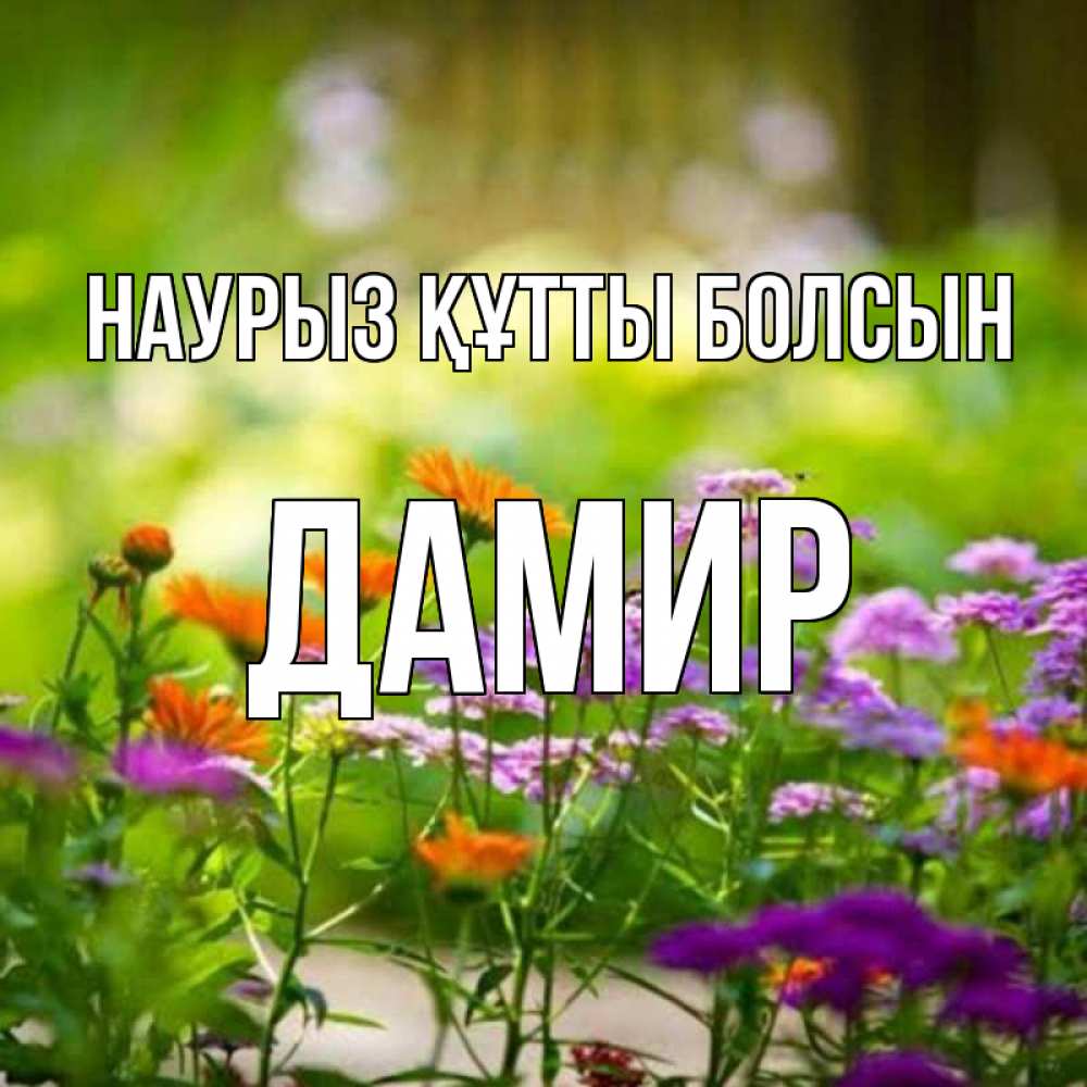 Открытка на каждый день с именем, Дамир Наурыз құтты болсын цветы Прикольная открытка с пожеланием онлайн скачать бесплатно 