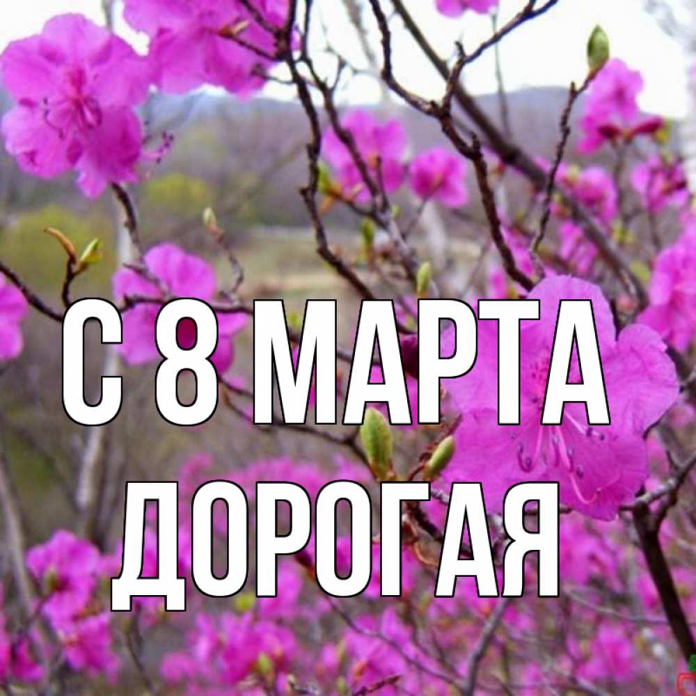 Открытка на каждый день с именем, Дорогая С 8 марта международный женский день Прикольная открытка с пожеланием онлайн скачать бесплатно 