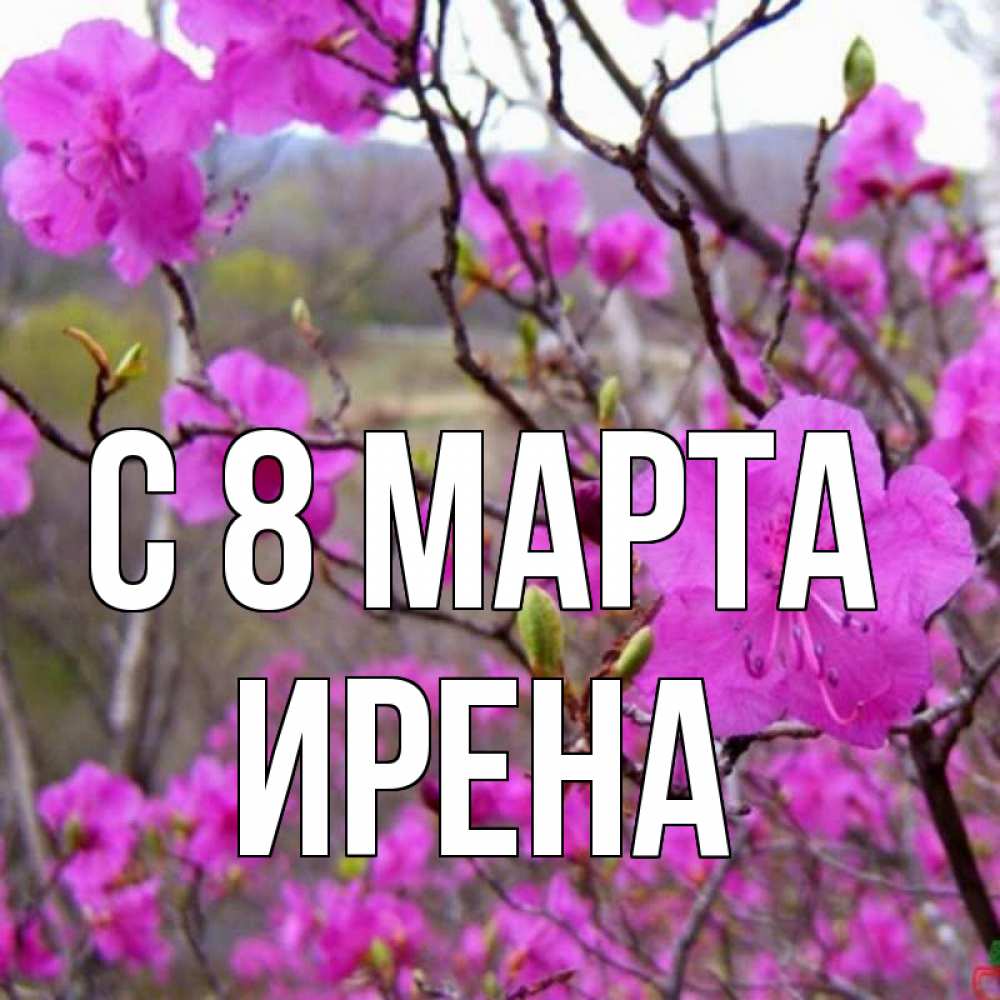 Открытка на каждый день с именем, Ирена С 8 МАРТА международный женский день Прикольная открытка с пожеланием онлайн скачать бесплатно 
