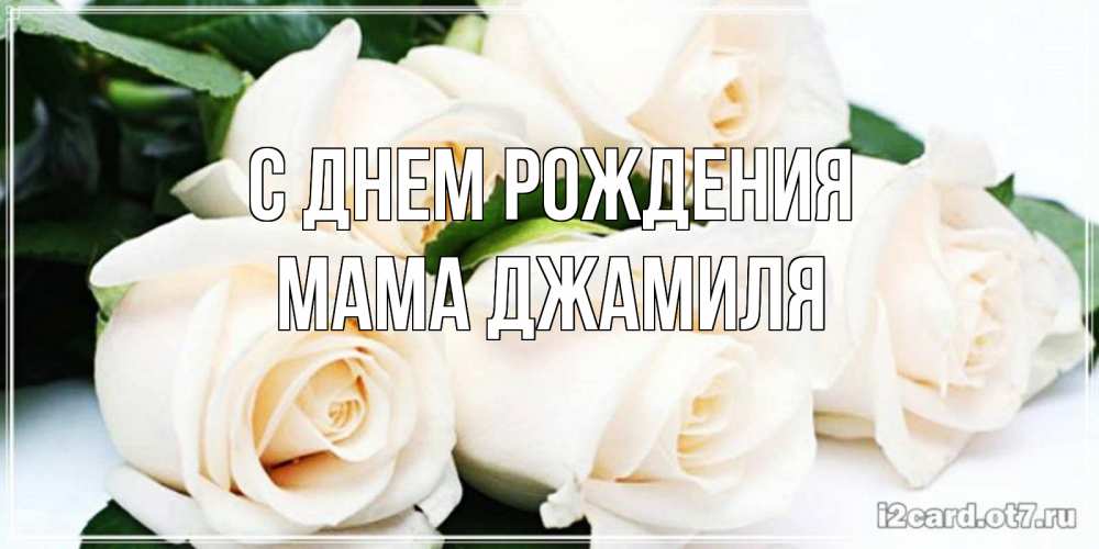 Открытка на каждый день с именем, Мама-Джамиля С днем рождения открытка с красивыми белыми розами для родных Прикольная открытка с пожеланием онлайн скачать бесплатно 