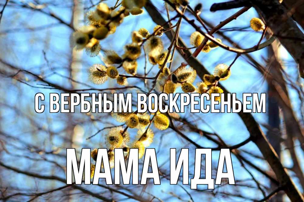 Открытка на каждый день с именем, Мама-Ида С вербным воскресеньем верба Прикольная открытка с пожеланием онлайн скачать бесплатно 