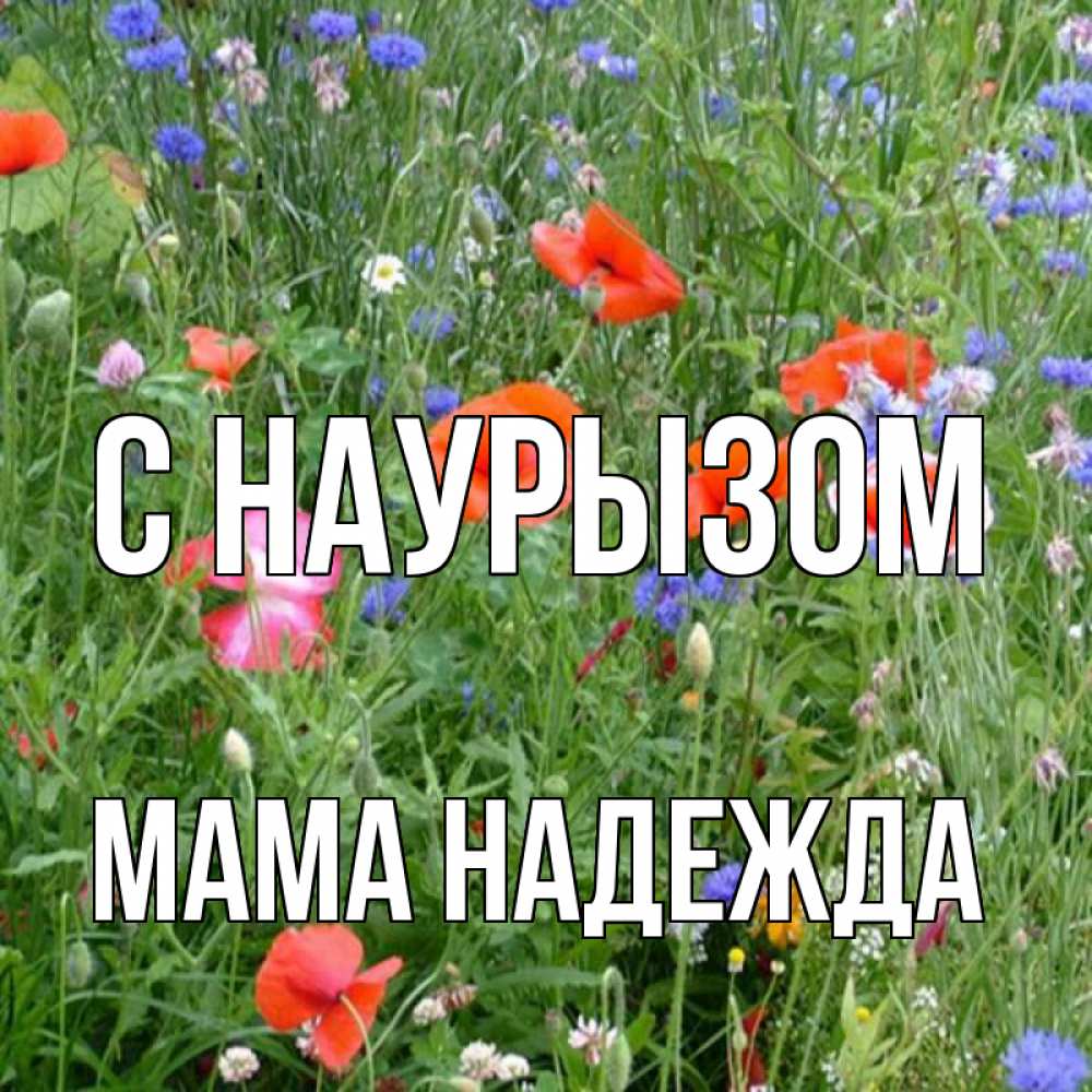 Открытка на каждый день с именем, Мама-Надежда С наурызом праздник весны наурыз супер открытка Прикольная открытка с пожеланием онлайн скачать бесплатно 
