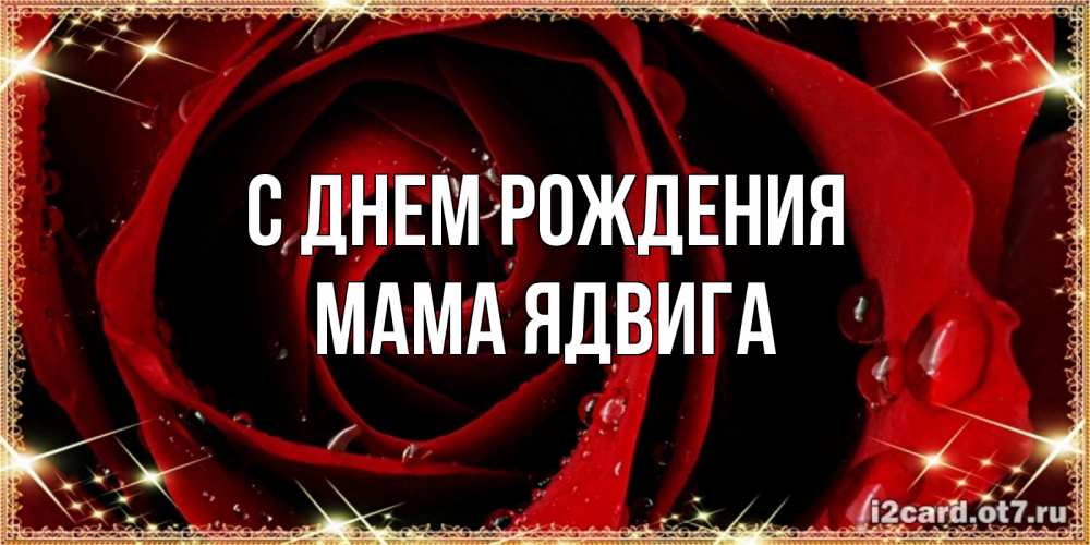 Открытка на каждый день с именем, Мама-Ядвига С днем рождения цветок в росе на день рождения Прикольная открытка с пожеланием онлайн скачать бесплатно 