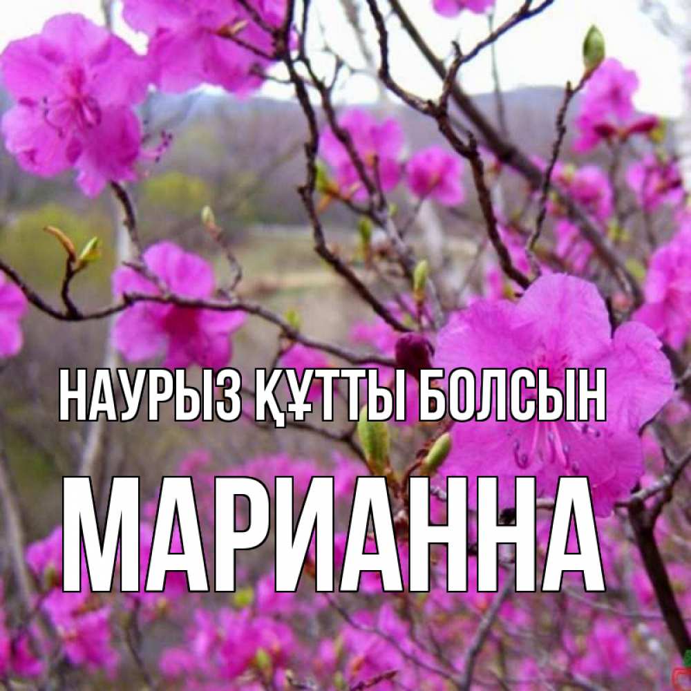 Открытка на каждый день с именем, Марианна Наурыз құтты болсын наурыз мейрамы кутты болсын Прикольная открытка с пожеланием онлайн скачать бесплатно 