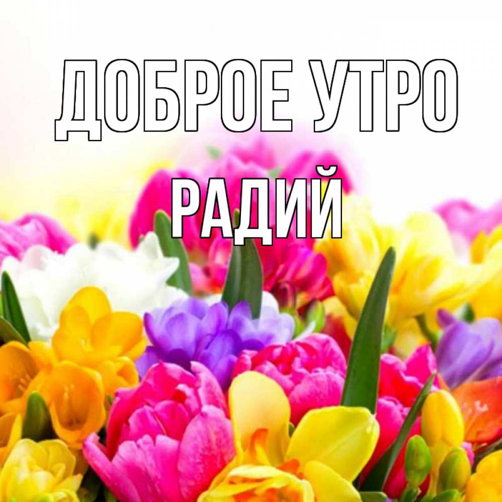 Открытка на каждый день с именем, Радий Доброе утро создать открытку со свое подписью Прикольная открытка с пожеланием онлайн скачать бесплатно 