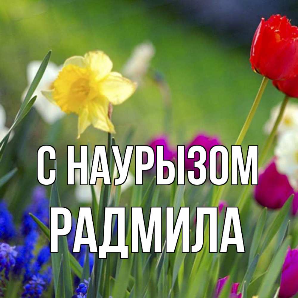 Открытка на каждый день с именем, Радмила С наурызом праздник весны наурыз 3 Прикольная открытка с пожеланием онлайн скачать бесплатно 