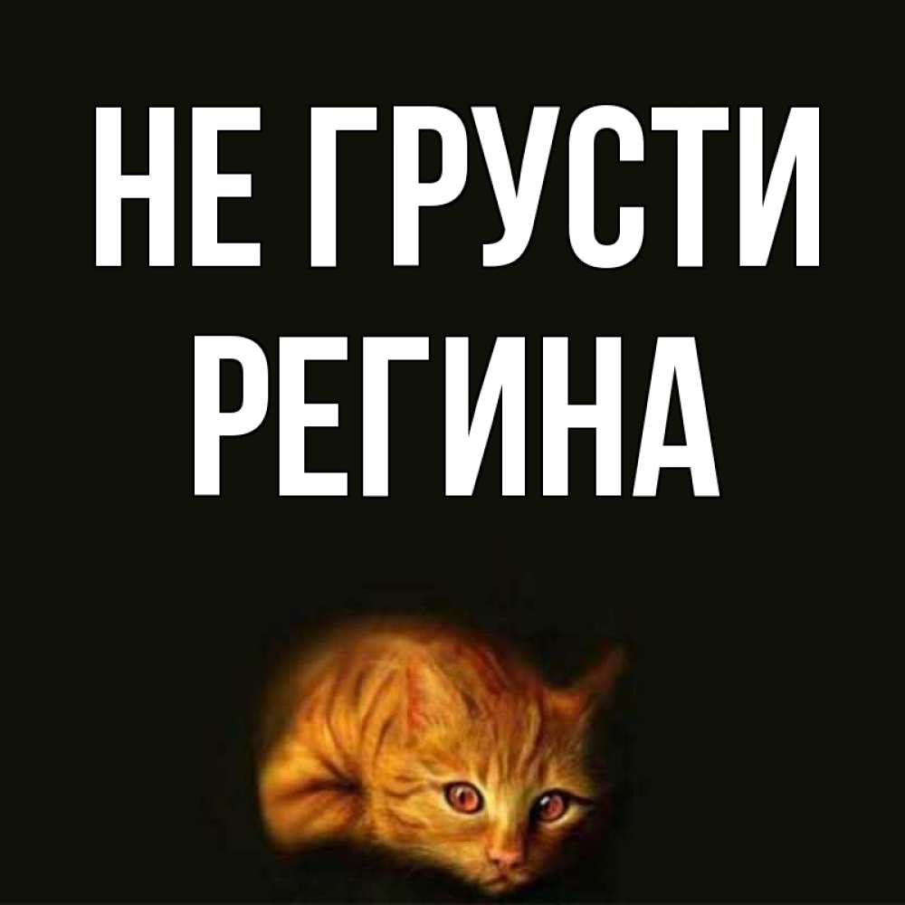 Открытка на каждый день с именем, Регина Не грусти лежащий кот в темноте Прикольная открытка с пожеланием онлайн скачать бесплатно 