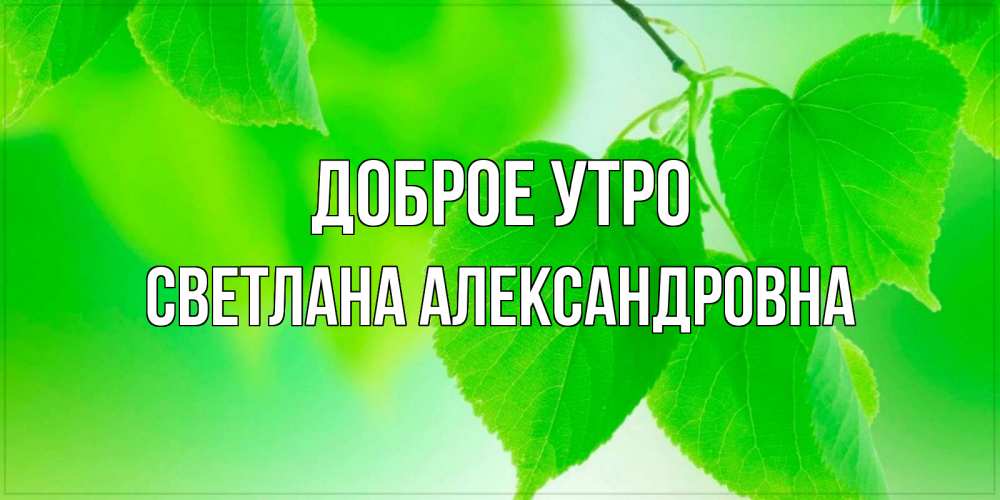 Открытка на каждый день с именем, Светлана-Александровна Доброе утро доброе утро с березовыми листьями Прикольная открытка с пожеланием онлайн скачать бесплатно 