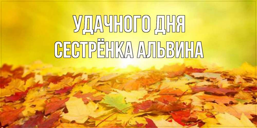 Открытка на каждый день с именем, Сестрёнка-Альвина Удачного дня пожелания удачного дня Прикольная открытка с пожеланием онлайн скачать бесплатно 