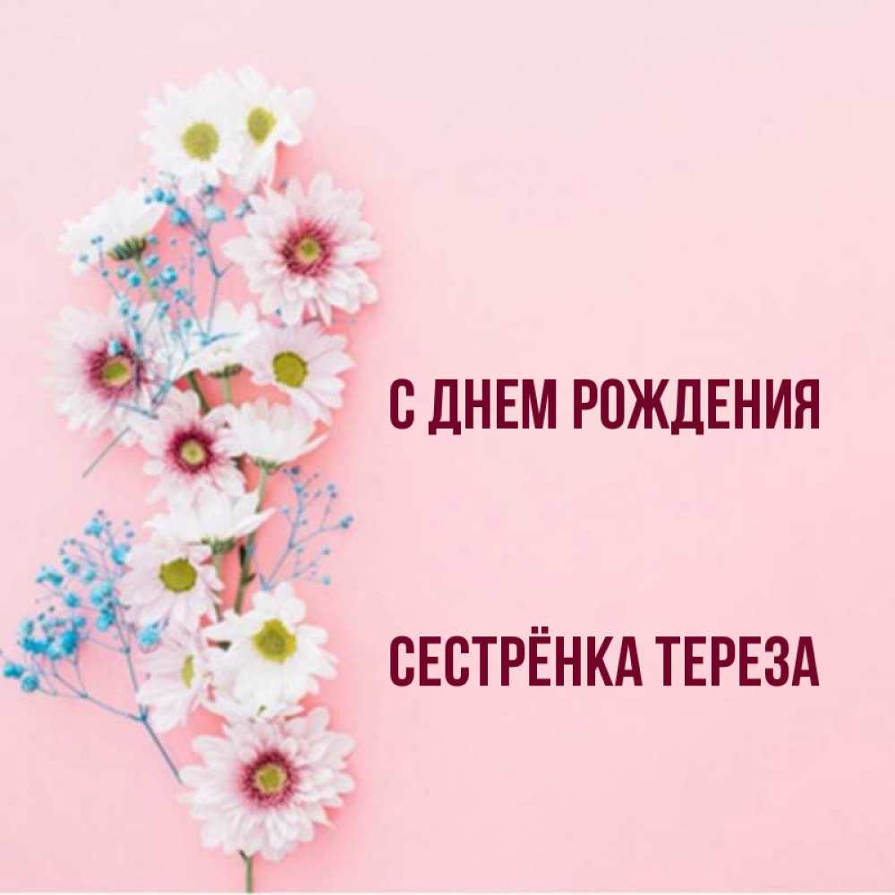 Открытка на каждый день с именем, Сестрёнка-Тереза С днем рождения Родная моя с днем рождения тебя картинка с цветами белыми и голубыми Прикольная открытка с пожеланием онлайн скачать бесплатно 
