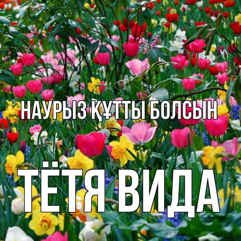Открытка на каждый день с именем, Тётя-Вида Наурыз құтты болсын с наурызом поздравления для женщины Прикольная открытка с пожеланием онлайн скачать бесплатно 