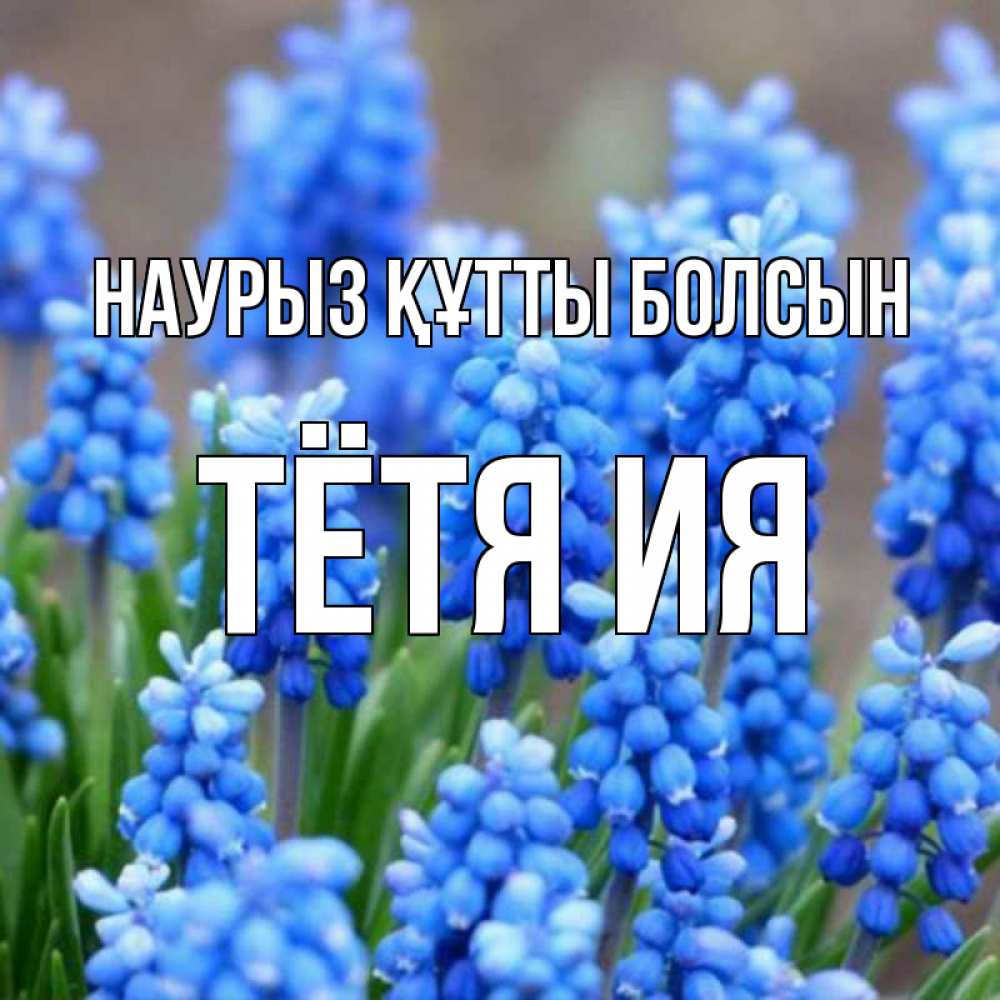 Открытка на каждый день с именем, Тётя-Ия Наурыз құтты болсын Поздравительная открытка для женщин с цветами на праздничную дату Прикольная открытка с пожеланием онлайн скачать бесплатно 