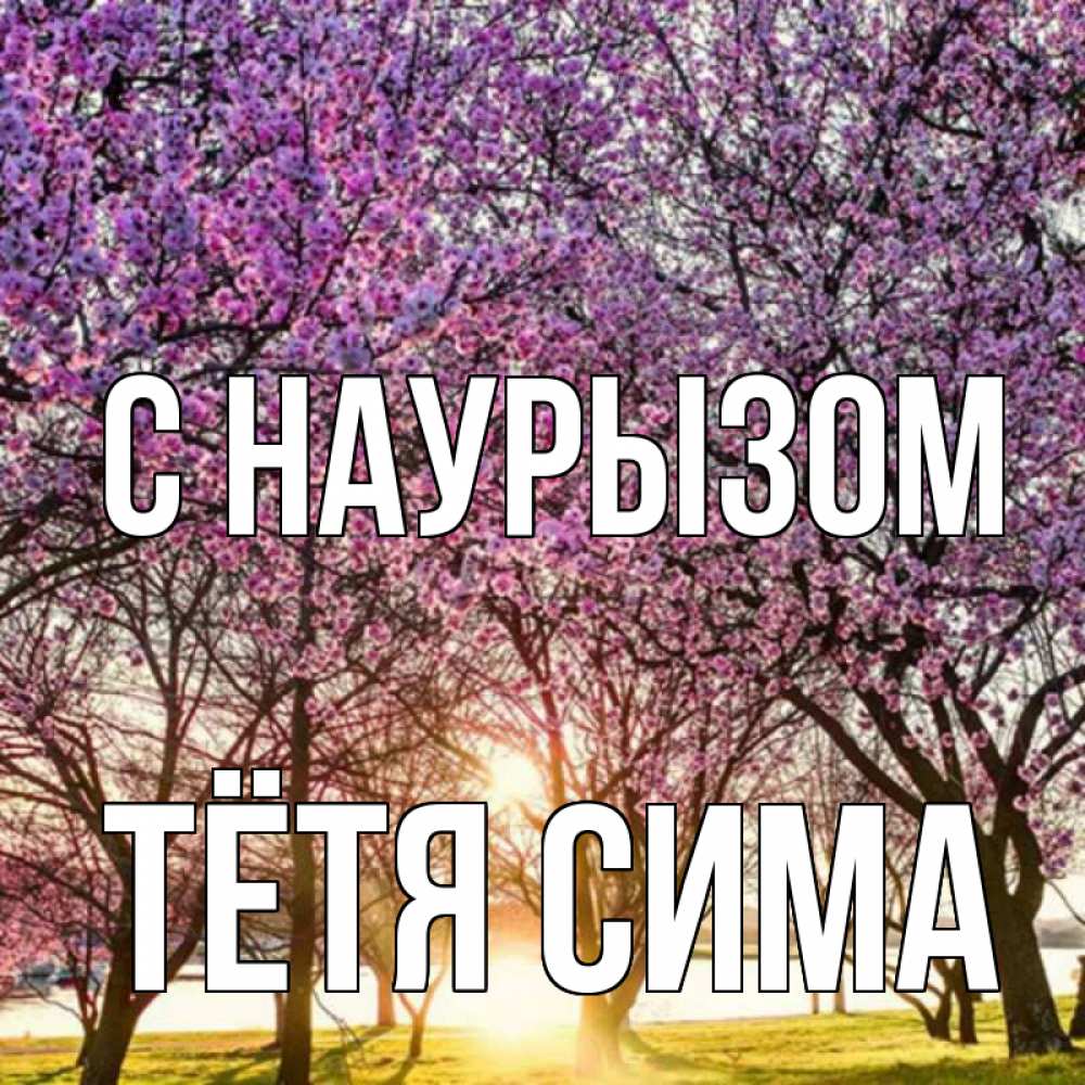 Открытка на каждый день с именем, Тётя-Сима С наурызом праздник весны наурыз Прикольная открытка с пожеланием онлайн скачать бесплатно 