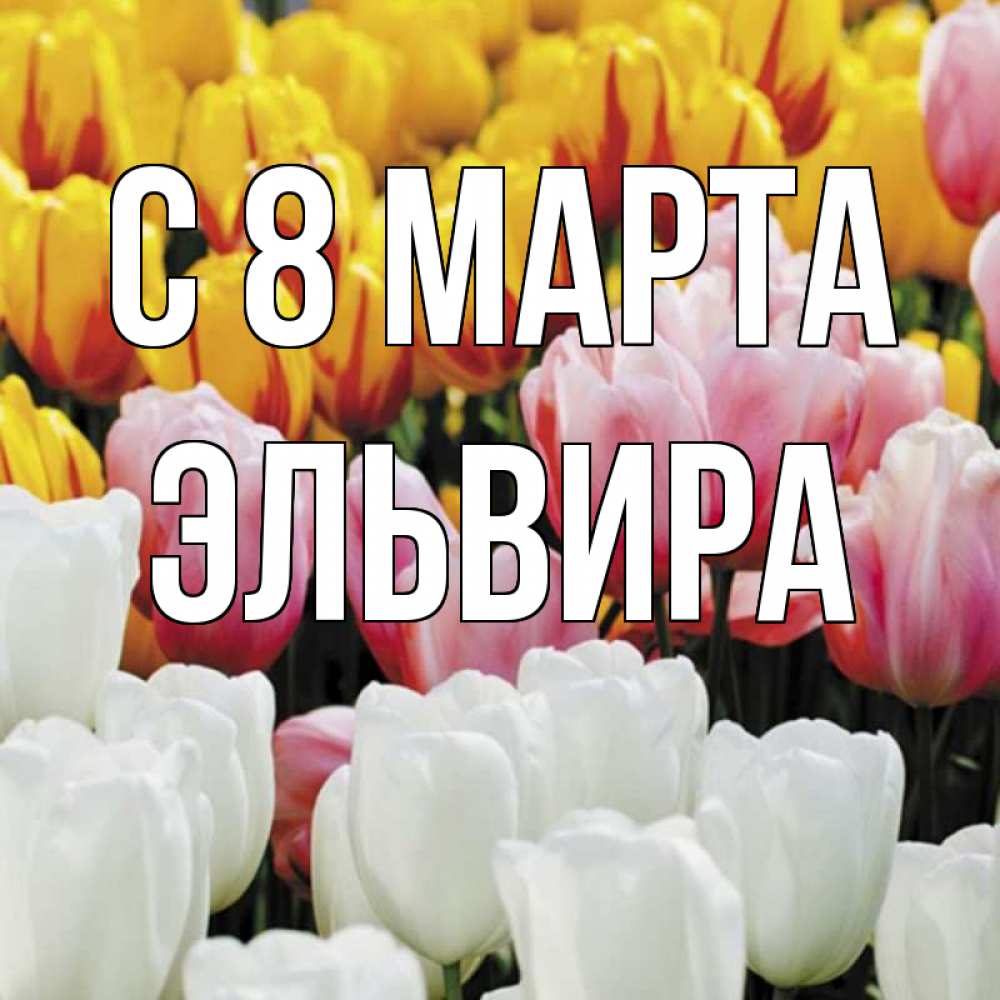 Открытка на каждый день с именем, Эльвира С 8 МАРТА разноцветные цветы Прикольная открытка с пожеланием онлайн скачать бесплатно 