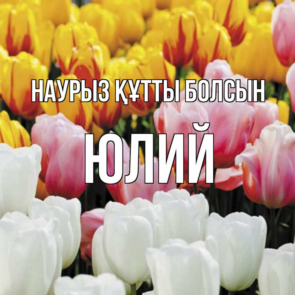 Открытка на каждый день с именем, Юлий Наурыз құтты болсын разноцветные цветы Прикольная открытка с пожеланием онлайн скачать бесплатно 